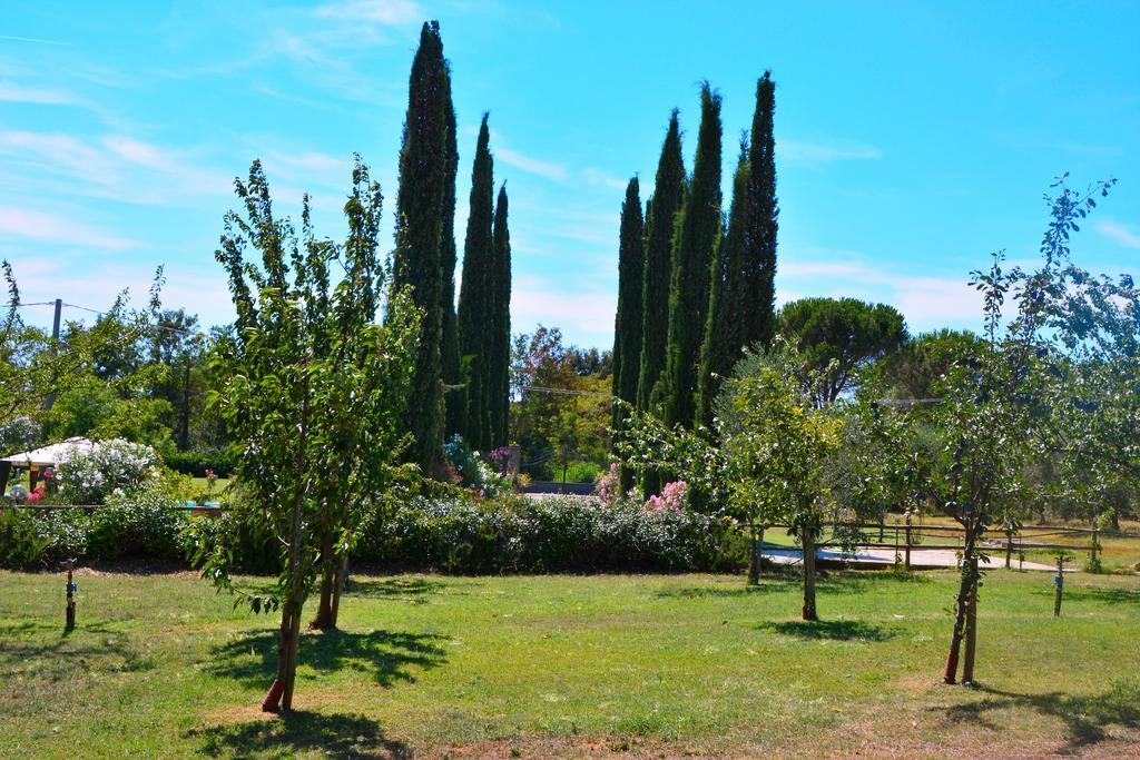 Agriturismo L'Aquilone Magliano in Toscana Exterior foto